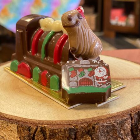 Trenzinho da Capivara